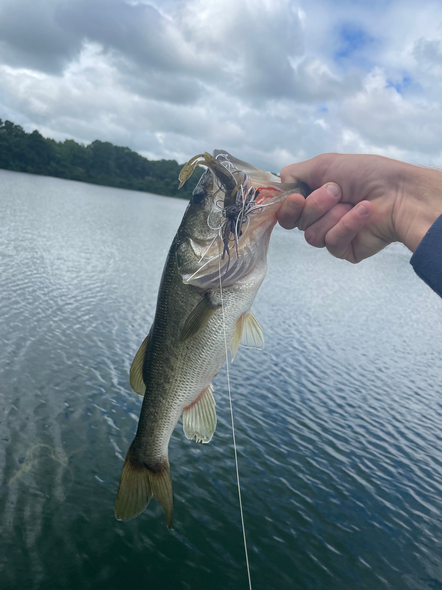 Black Swim Jig